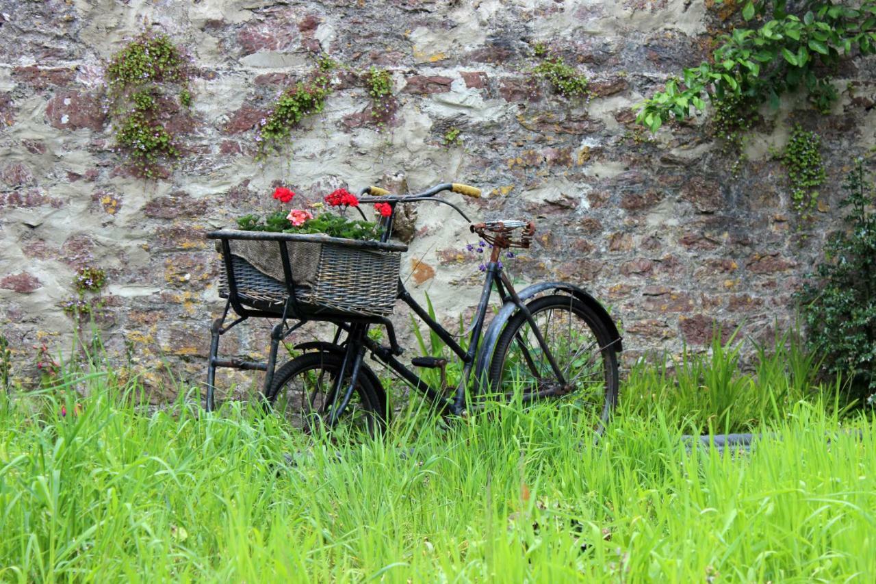 St Katharine'S House Bed & Breakfast Milford Haven Dış mekan fotoğraf